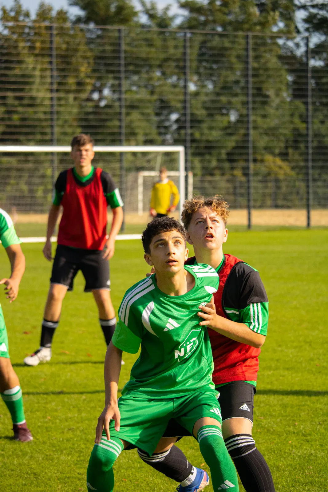 SFN Vechta vs. GW Brockdorf – Foto 64