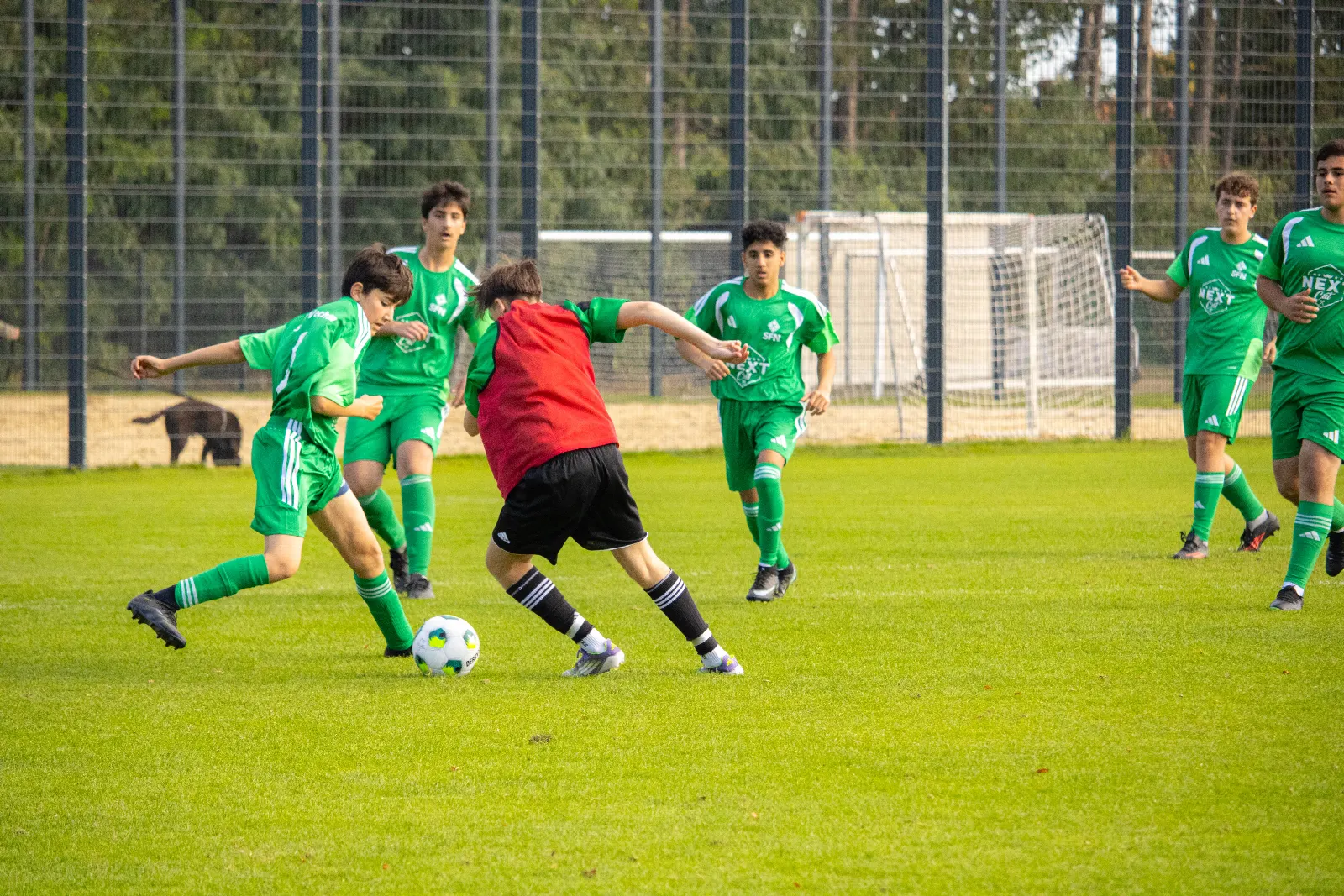 SFN Vechta vs. GW Brockdorf – Foto 199