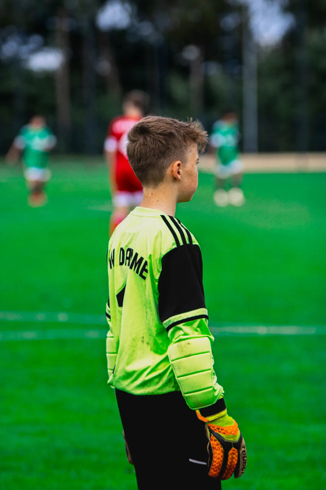 SFN Vechta vs. RW Damme – Foto 81